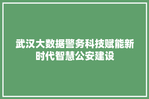 武汉大数据警务科技赋能新时代智慧公安建设