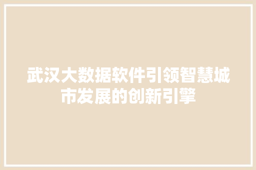 武汉大数据软件引领智慧城市发展的创新引擎