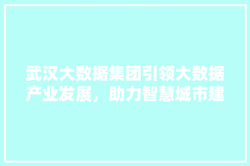 武汉大数据集团引领大数据产业发展，助力智慧城市建设