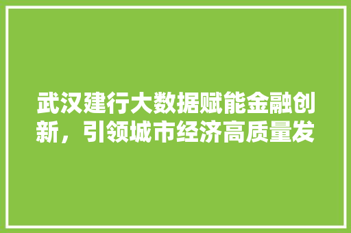 武汉建行大数据赋能金融创新，引领城市经济高质量发展