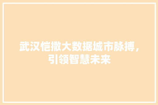 武汉恺撒大数据城市脉搏，引领智慧未来