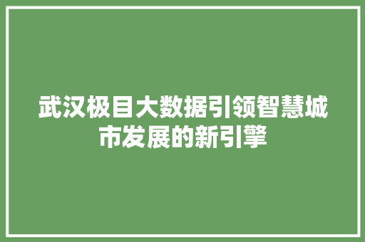 武汉极目大数据引领智慧城市发展的新引擎