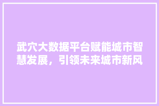 武穴大数据平台赋能城市智慧发展，引领未来城市新风尚