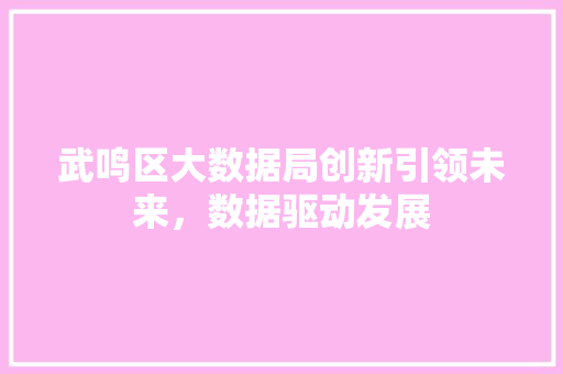 武鸣区大数据局创新引领未来，数据驱动发展 WordPress教程