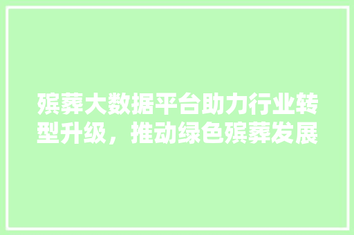 殡葬大数据平台助力行业转型升级，推动绿色殡葬发展