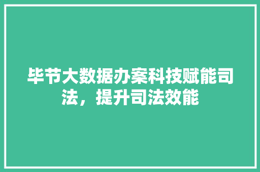 毕节大数据办案科技赋能司法，提升司法效能
