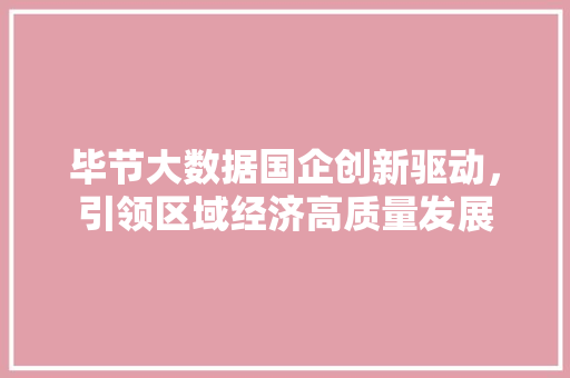 毕节大数据国企创新驱动，引领区域经济高质量发展