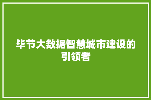 毕节大数据智慧城市建设的引领者 友链在线