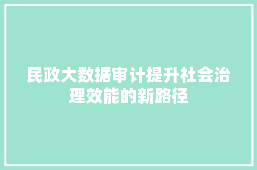 民政大数据审计提升社会治理效能的新路径