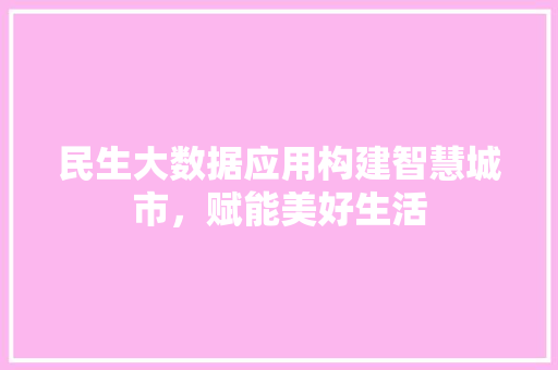 民生大数据应用构建智慧城市，赋能美好生活