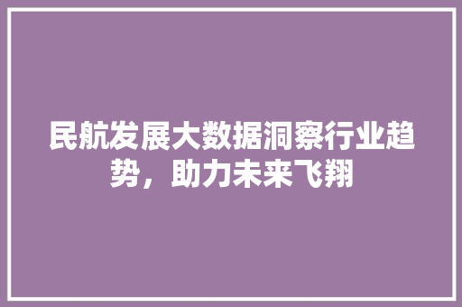 民航发展大数据洞察行业趋势，助力未来飞翔