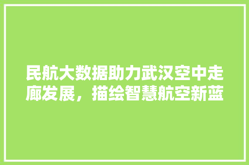 民航大数据助力武汉空中走廊发展，描绘智慧航空新蓝图