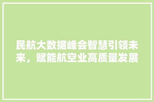 民航大数据峰会智慧引领未来，赋能航空业高质量发展