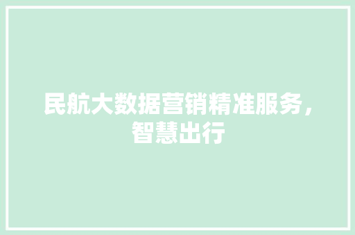 民航大数据营销精准服务，智慧出行
