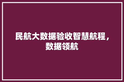 民航大数据验收智慧航程，数据领航