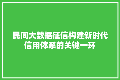 民间大数据征信构建新时代信用体系的关键一环