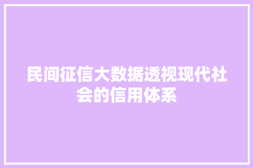 民间征信大数据透视现代社会的信用体系