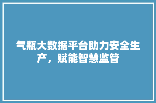 气瓶大数据平台助力安全生产，赋能智慧监管