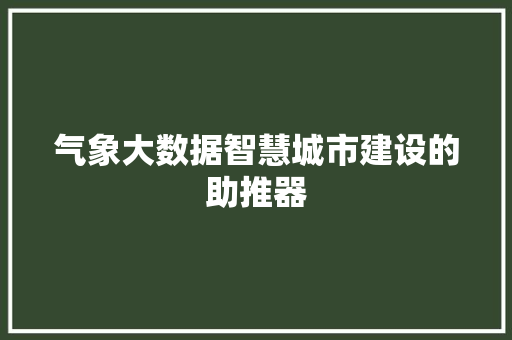 气象大数据智慧城市建设的助推器 SEO教程