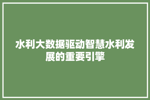 水利大数据驱动智慧水利发展的重要引擎 WordPress教程