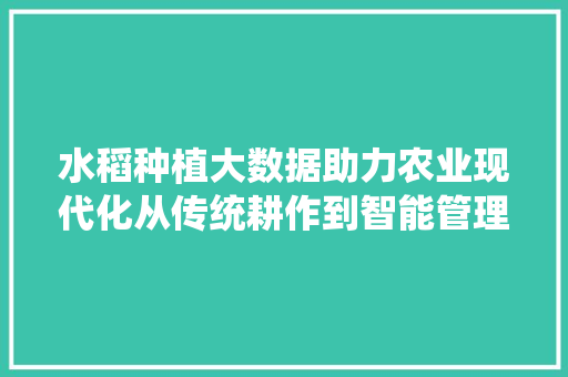 水稻种植大数据助力农业现代化从传统耕作到智能管理