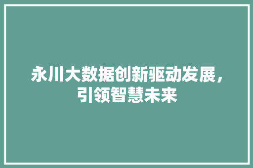永川大数据创新驱动发展，引领智慧未来