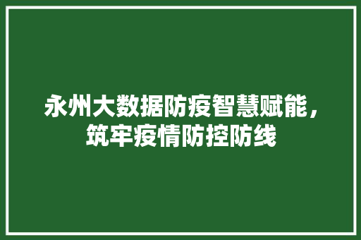 永州大数据防疫智慧赋能，筑牢疫情防控防线