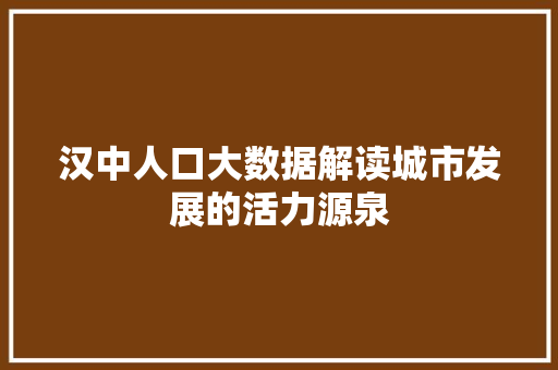 汉中人口大数据解读城市发展的活力源泉