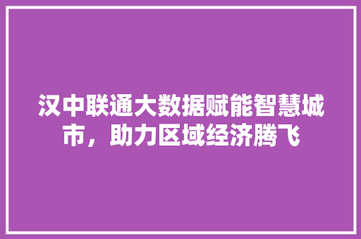 汉中联通大数据赋能智慧城市，助力区域经济腾飞 WordPress教程