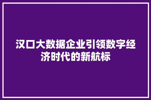 汉口大数据企业引领数字经济时代的新航标 WordPress教程