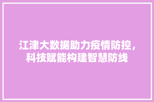 江津大数据助力疫情防控，科技赋能构建智慧防线 友链在线