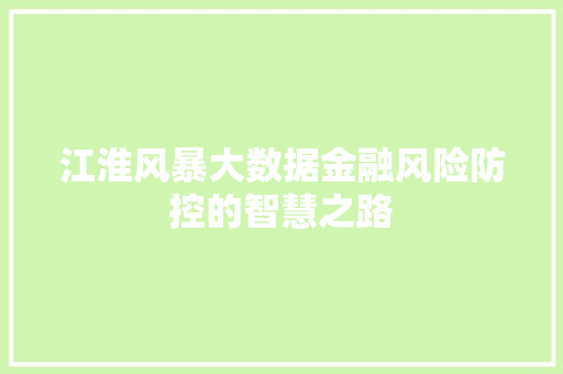 江淮风暴大数据金融风险防控的智慧之路 友链在线