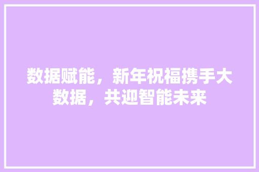 数据赋能，新年祝福携手大数据，共迎智能未来