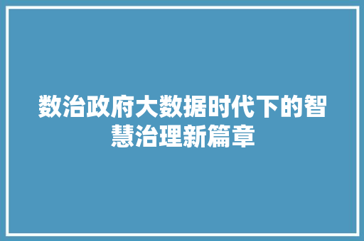 数治政府大数据时代下的智慧治理新篇章