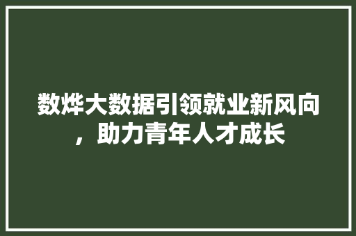 数烨大数据引领就业新风向，助力青年人才成长