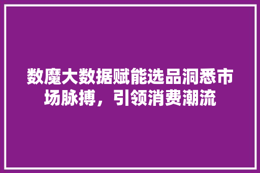 数魔大数据赋能选品洞悉市场脉搏，引领消费潮流