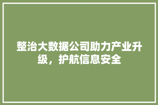 整治大数据公司助力产业升级，护航信息安全 服务器/数据库