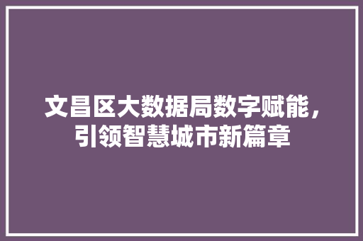 文昌区大数据局数字赋能，引领智慧城市新篇章 建站教程