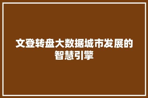 文登转盘大数据城市发展的智慧引擎