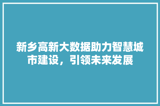新乡高新大数据助力智慧城市建设，引领未来发展