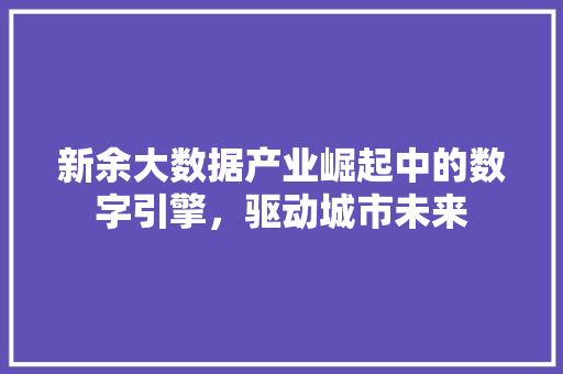 新余大数据产业崛起中的数字引擎，驱动城市未来