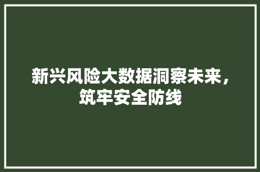 新兴风险大数据洞察未来，筑牢安全防线