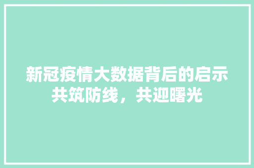 新冠疫情大数据背后的启示共筑防线，共迎曙光