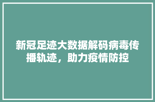 新冠足迹大数据解码病毒传播轨迹，助力疫情防控