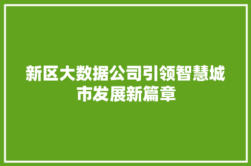 新区大数据公司引领智慧城市发展新篇章