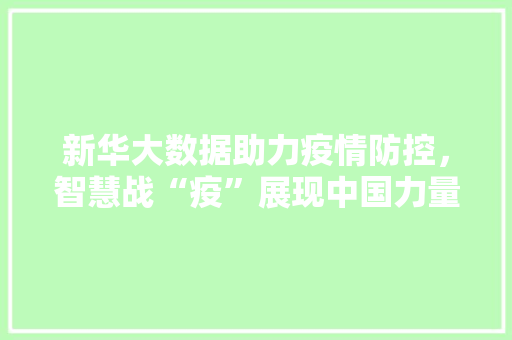 新华大数据助力疫情防控，智慧战“疫”展现中国力量