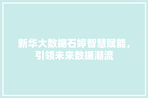 新华大数据石婷智慧赋能，引领未来数据潮流