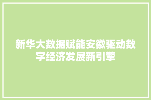 新华大数据赋能安徽驱动数字经济发展新引擎