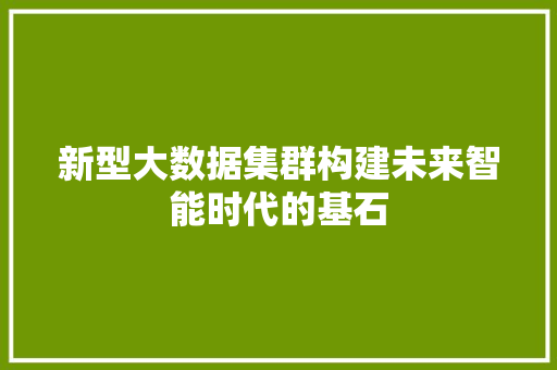 新型大数据集群构建未来智能时代的基石