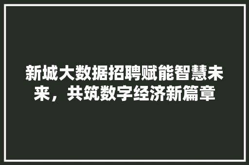 新城大数据招聘赋能智慧未来，共筑数字经济新篇章